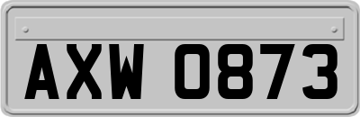 AXW0873