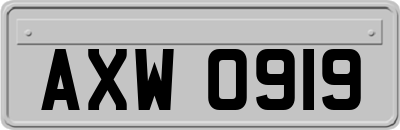 AXW0919