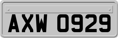 AXW0929