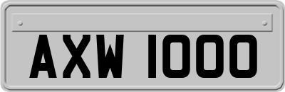 AXW1000