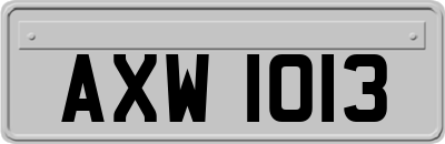 AXW1013