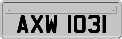 AXW1031