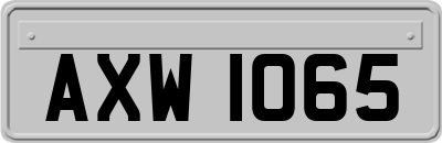 AXW1065