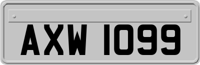 AXW1099