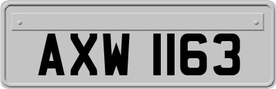 AXW1163