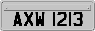 AXW1213