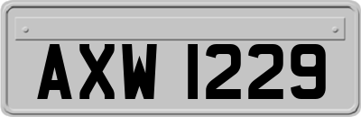 AXW1229