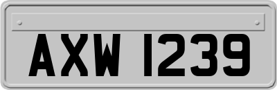 AXW1239