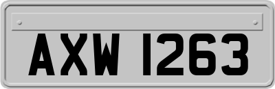 AXW1263