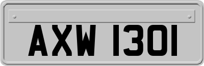 AXW1301