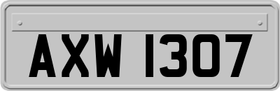 AXW1307