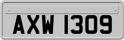 AXW1309