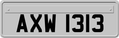 AXW1313