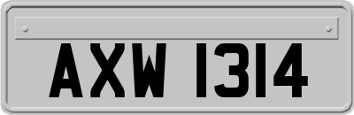 AXW1314