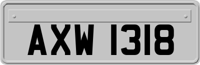 AXW1318