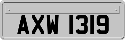 AXW1319