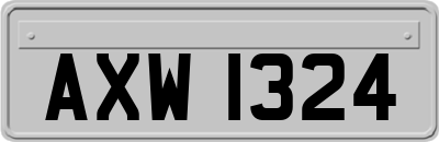 AXW1324