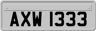 AXW1333