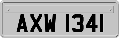 AXW1341