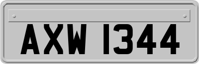AXW1344