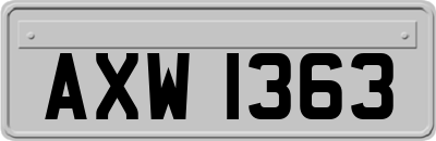 AXW1363