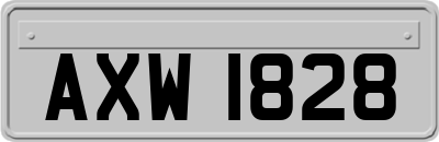 AXW1828