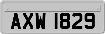 AXW1829