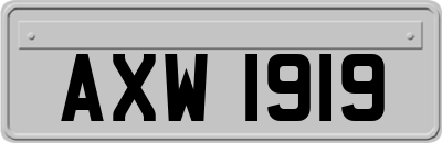 AXW1919