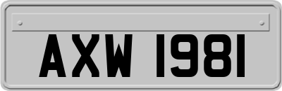AXW1981
