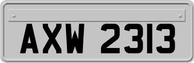 AXW2313