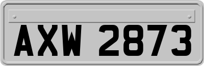AXW2873