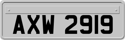 AXW2919