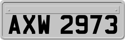 AXW2973