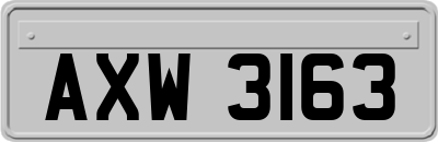 AXW3163