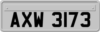AXW3173