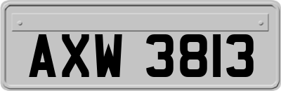 AXW3813