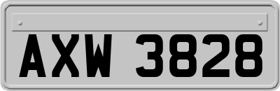 AXW3828