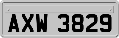 AXW3829