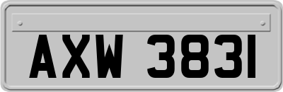 AXW3831
