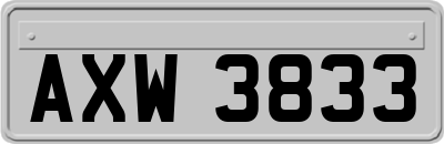 AXW3833