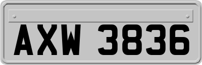 AXW3836