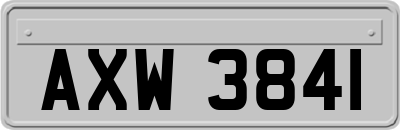 AXW3841