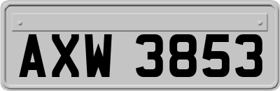 AXW3853