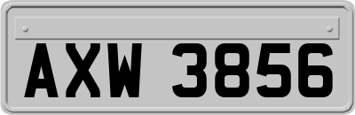 AXW3856