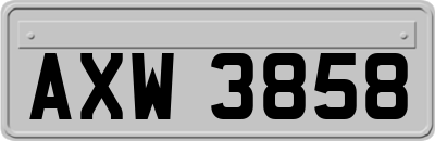 AXW3858