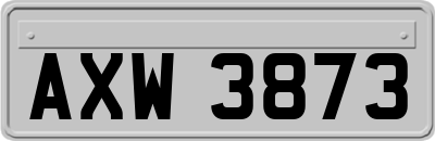 AXW3873