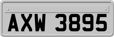 AXW3895