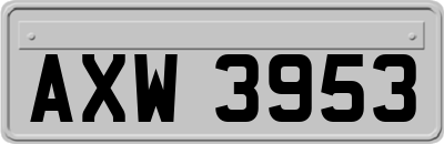 AXW3953