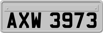 AXW3973