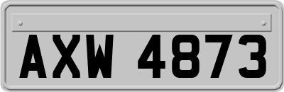 AXW4873